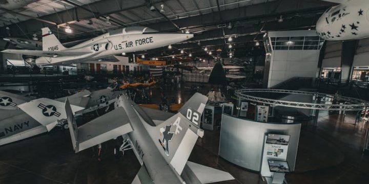 藍十字旅遊保險：案例解析與數據指導