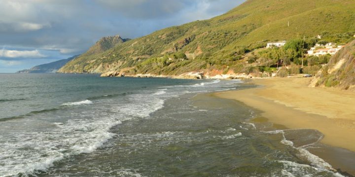 冷熱水機的選購與使用全攻略