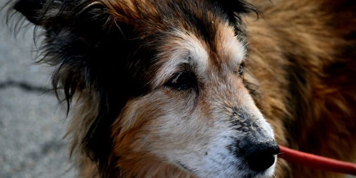 去紋療程：有效步驟全面解析