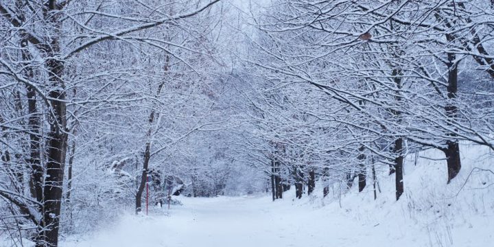 迷你倉的實用攻略：讓空間管理更高效