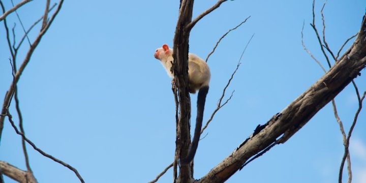 音響租借香港：打造完美活動的專業選擇